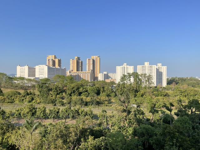 高雄大樓-8